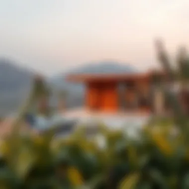 Magnificent Exploring the Landscape of Big Buy Damac Hills