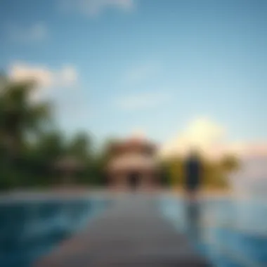 Magnificent Exploring the Palm Island: A Comprehensive Overview Magnificent Exploring the Palm Island: A Comprehensive Overview