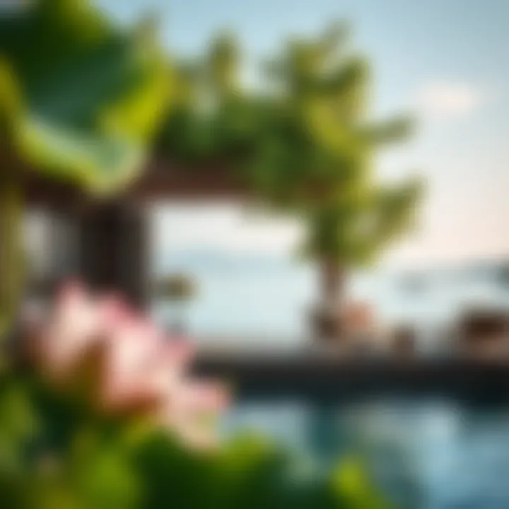 Magnificent The Interplay of Nature and Luxury: Exploring the Creek Beach Lotus Experience