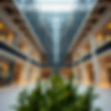 Magnificent Understanding Shell and Core Office Spaces in Dubai's Real Estate Market