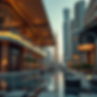 Magnificent Understanding the Expat Community in Dubai