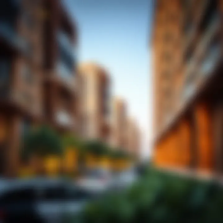 A Comprehensive Analysis of Bricks N Woods: Insights and Reviews in Dubai's Real Estate Landscape Summary