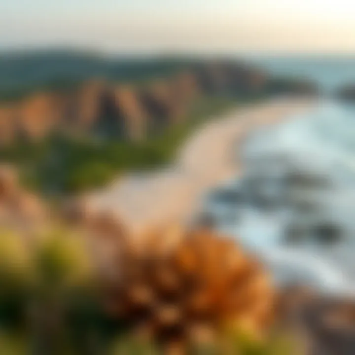 Ecological landscape highlighting the natural beauty of Alkhan Beach