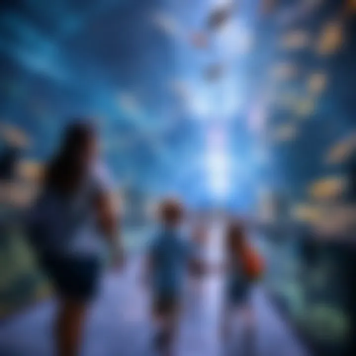 Exploring the Atlantis Aquarium Family exploring the aquarium at Atlantis