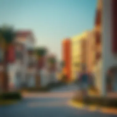 Vibrant Community Lifestyle Vibrant community lifestyle in Dubai