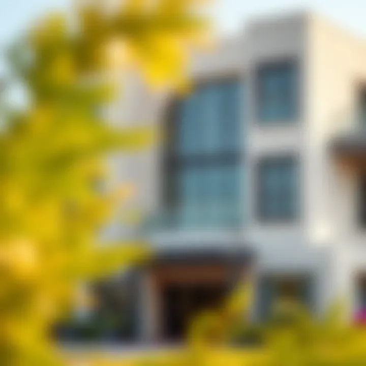 Top Schools in Family Neighborhoods Modern educational institution in Dubai