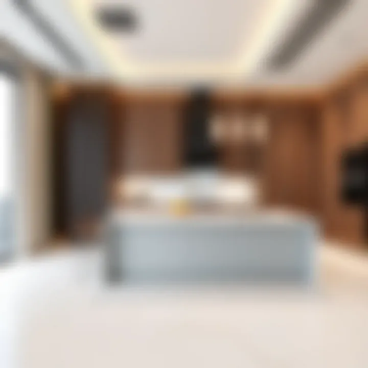 Spacious kitchen layout in Burj Vista Tower 1