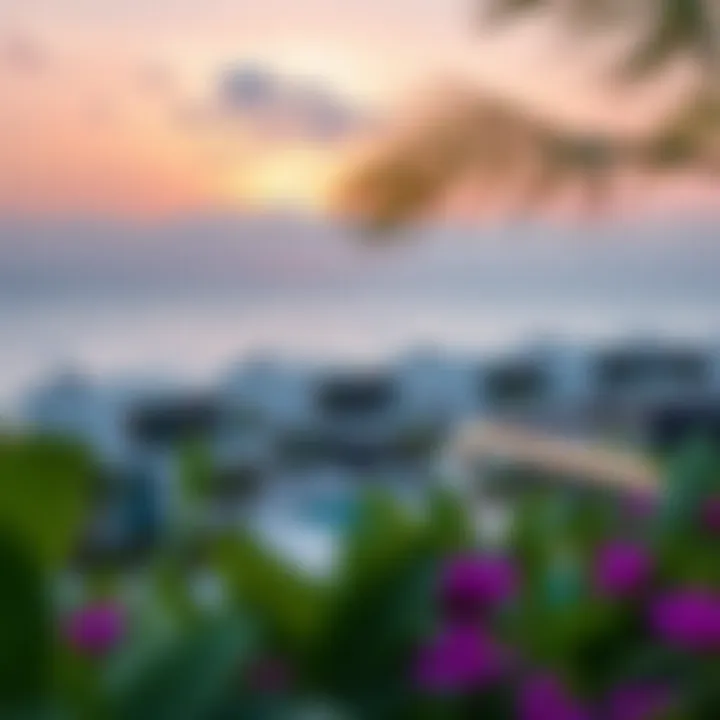 Modern real estate developments on Coconut Island with luxury villas