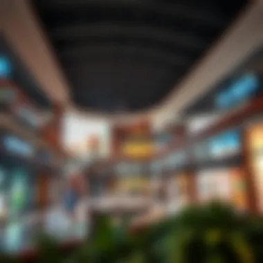 Evaluating Affordability: The Cost Dynamics of Shopping at Dubai Outlet Mall Summary