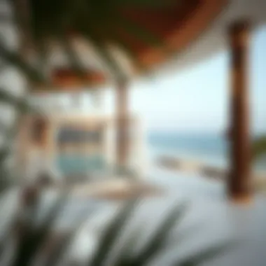 Notable Examining Private Beach Villas in Dubai: An In-Depth Perspective Notable Examining Private Beach Villas in Dubai: An In-Depth Perspective