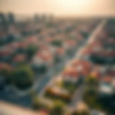 Aerial view of vibrant Dubai neighborhood showcasing 1BHK rentals