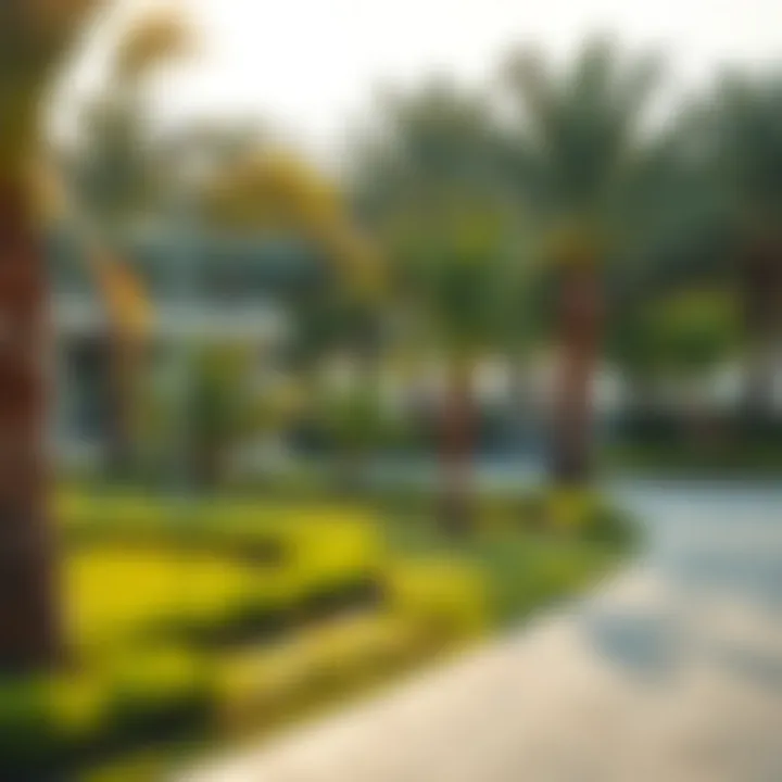 Local parks and green spaces in Al Qusais 4