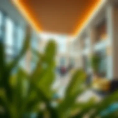 Vibrant amenities and recreational spaces in بلغيلم السكني