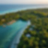 Aerial view of Coconut Island showcasing its lush greenery and coastal beauty