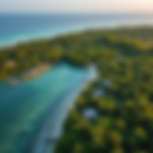 Aerial view of Coconut Island showcasing its lush greenery and coastal beauty