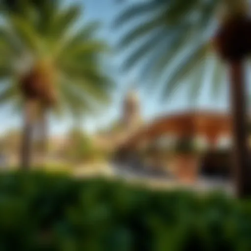 Exploring DDC Discovery Gardens: A Comprehensive Insight Introduction