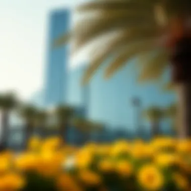 Exploring DDC Discovery Gardens: A Comprehensive Insight Summary Exploring DDC Discovery Gardens: A Comprehensive Insight Summary