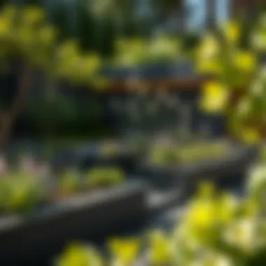 Notable Exploring Garden Bed Space: A Comprehensive Guide for Urban Landscapes Notable Exploring Garden Bed Space: A Comprehensive Guide for Urban Landscapes
