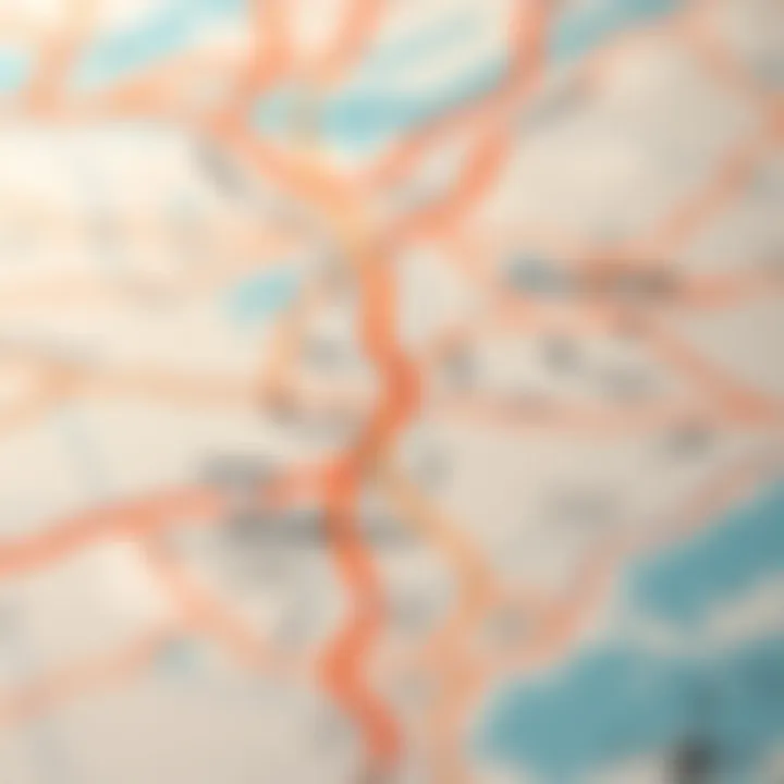 Transportation Networks of Jebel Ali A map illustrating Jebel Ali's transportation networks including roads and railways.