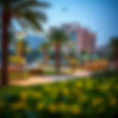 Community Park in Jumeirah 1 Vibrant community park in Jumeirah 1 illustrating recreational spaces for families.