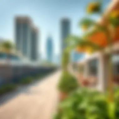 Community amenities surrounding the Karama New Building