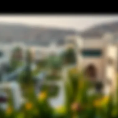A Scenic Overview of Khwaneej's Architectural Charm Panoramic view of Khwaneej showcasing its modern architecture and greenery