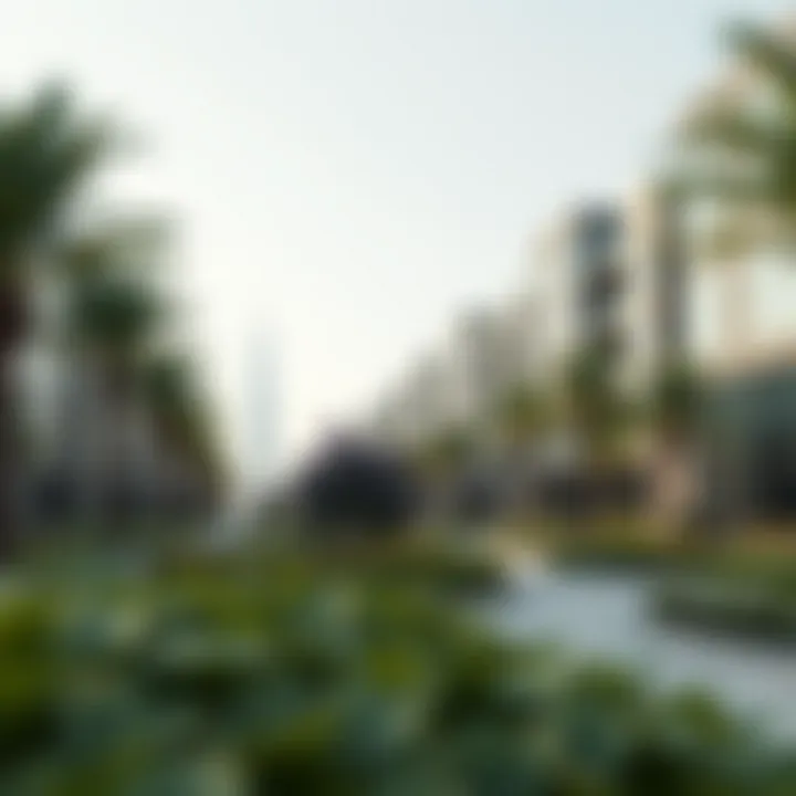 Green spaces and urban gardens within Masdar City