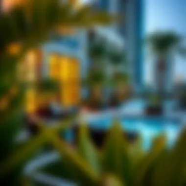 Residents enjoying lifestyle amenities in DubaiLand