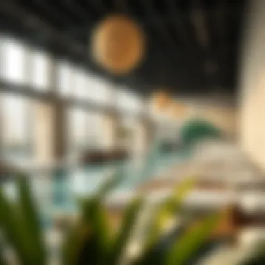 Market analysis and trends in the spa industry