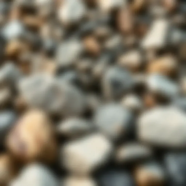 Diversity of Stone: Textures and Colors in Nature A variety of stones displaying their unique textures and colors