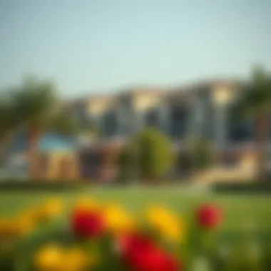 Lively community park in a family-friendly Dubai suburb