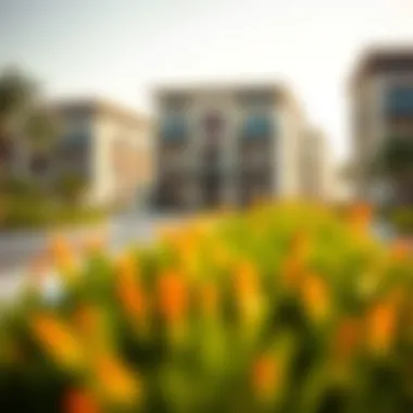Exploring the Damac Hills 2 Area: A Comprehensive Insight Summary Exploring the Damac Hills 2 Area: A Comprehensive Insight Summary