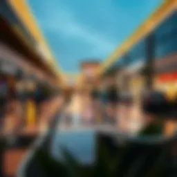 Exploring the Dynamics of Dubai Outlet Shopping Introduction