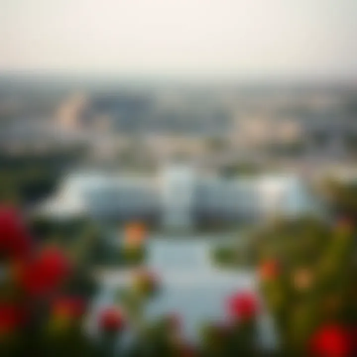 Exploring the Landscape of Big Buy Damac Hills Summary