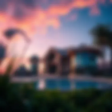Exploring the Palm Island: A Comprehensive Overview Summary Exploring the Palm Island: A Comprehensive Overview Summary