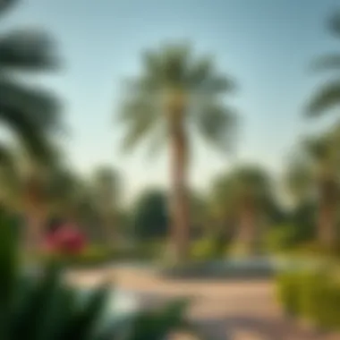 Exploring the Parks in Khalifa City Summary Exploring the Parks in Khalifa City Summary