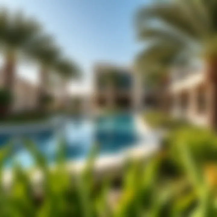 Eco-Friendly Landscaping Around Saadiyat Pool Natural landscaping around Saadiyat Pool promoting environmental sustainability