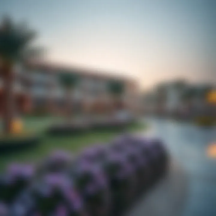 Luxurious Amenities in ورقاء 4 Luxurious amenities available in ورقاء 4 including parks and recreational areas