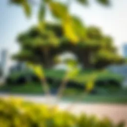 Lush greenery and innovative landscape design at Xpark Dubai