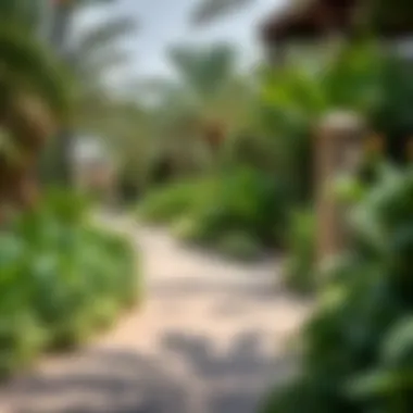 A serene pathway winding through diverse plant life in Xpark Dubai