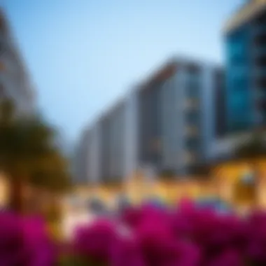 Visual representation of the implications of GDRFA file validity for investors