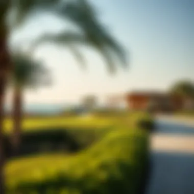 Tranquil Landscapes Enhancing the Lifestyle Experience Tranquil landscapes surrounding the Jumeirah Islands Pavilion