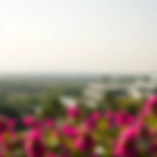 Breathtaking Landscape of Maimoon Gardens Stunning landscape view of Maimoon Gardens showcasing lush greenery and modern architecture