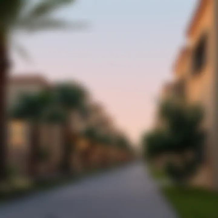A picturesque neighborhood showcasing Mesk Deyaars properties