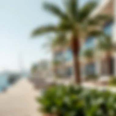 Luxurious Waterfront Properties Luxurious waterfront properties at Palm Jabal Ali