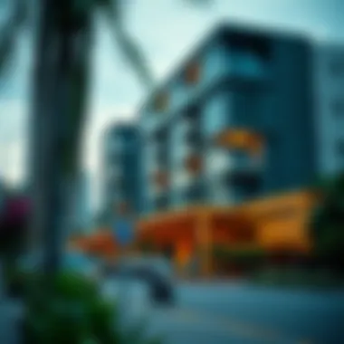 Vibrant Community Life in International City Vibrant community life in International City