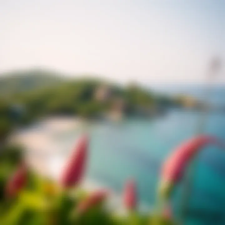 Panoramic shot of the lush coastline and turquoise waters