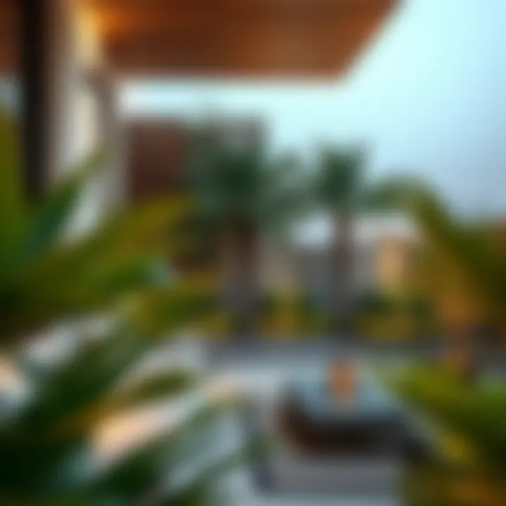 Luxurious terrace garden in a Dubai property