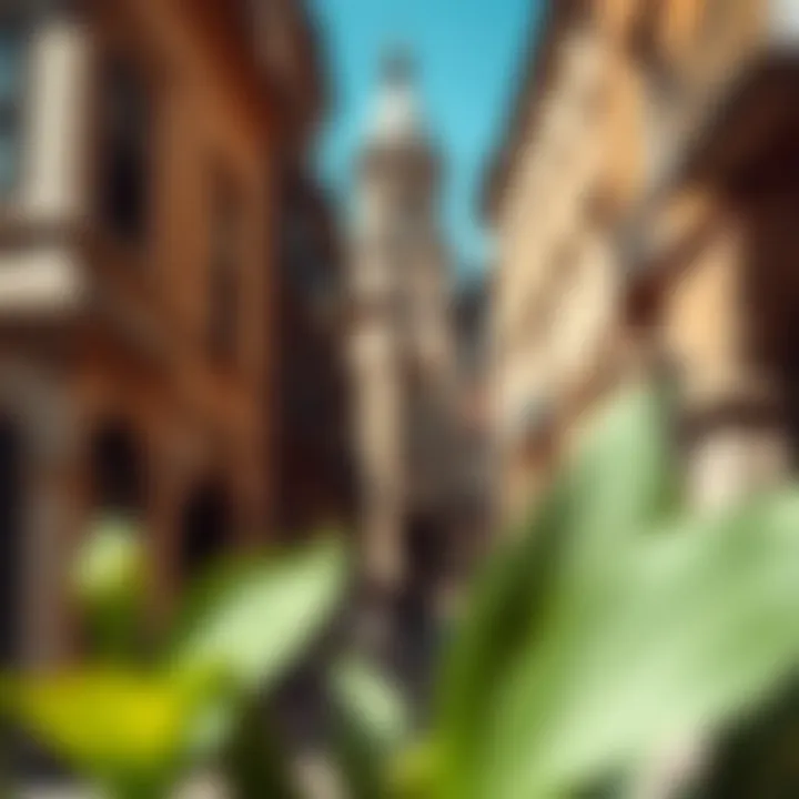 Exploring Historic Streets and Their Stories Charming streets adorned with historical buildings