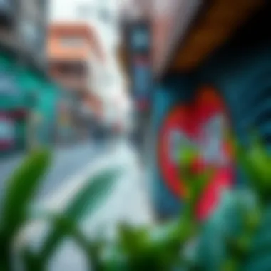 Urban Art as a Reflection of Cultural Tapestry Vibrant urban art reflecting cultural diversity